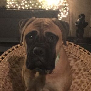 Meet your Posher, Cindy